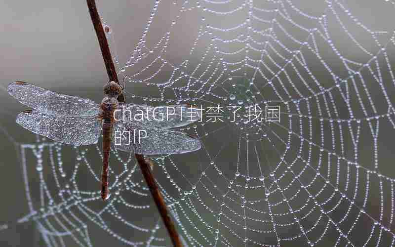 chatGPT封禁了我国的IP chatGPT封禁了我国的IP