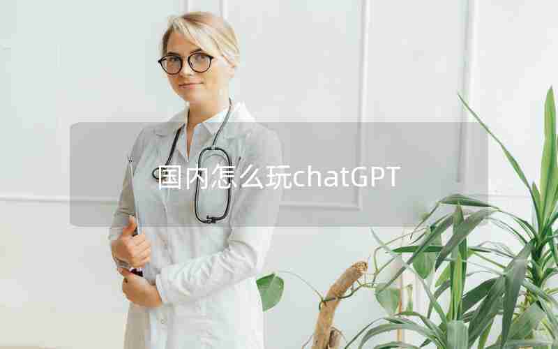 国内怎么玩chatGPT