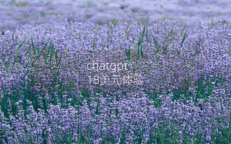 chatgpt 18美元体验 chatgpt 18美元体验