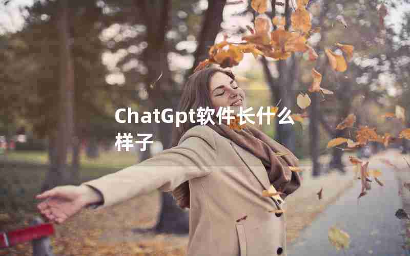 ChatGpt软件长什么样子
