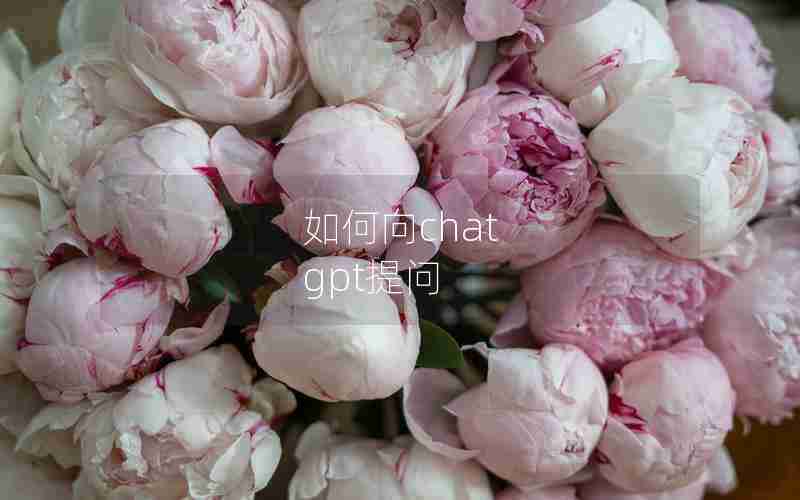 如何向chat gpt提问 如何向chat gpt提问