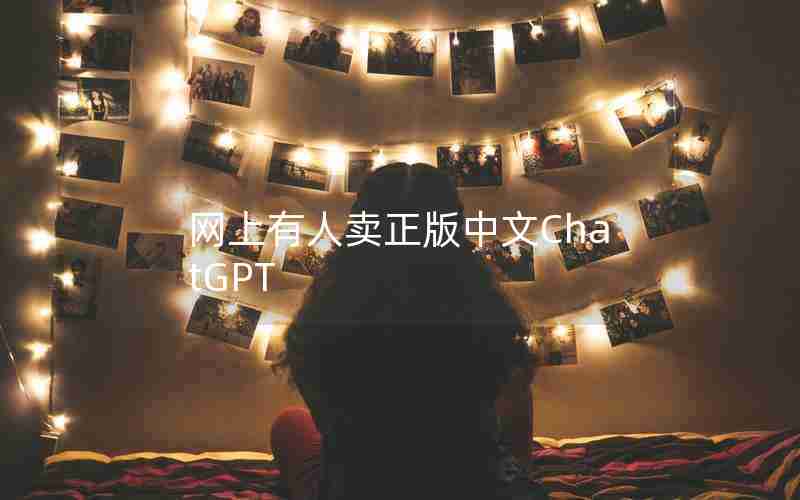 网上有人卖正版中文ChatGPT 网上有人卖正版中文ChatGPT