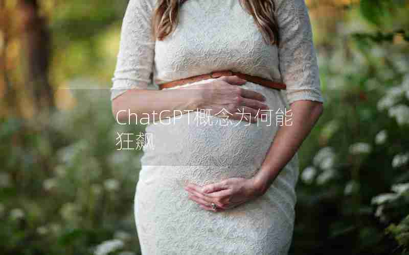 ChatGPT概念为何能狂飙