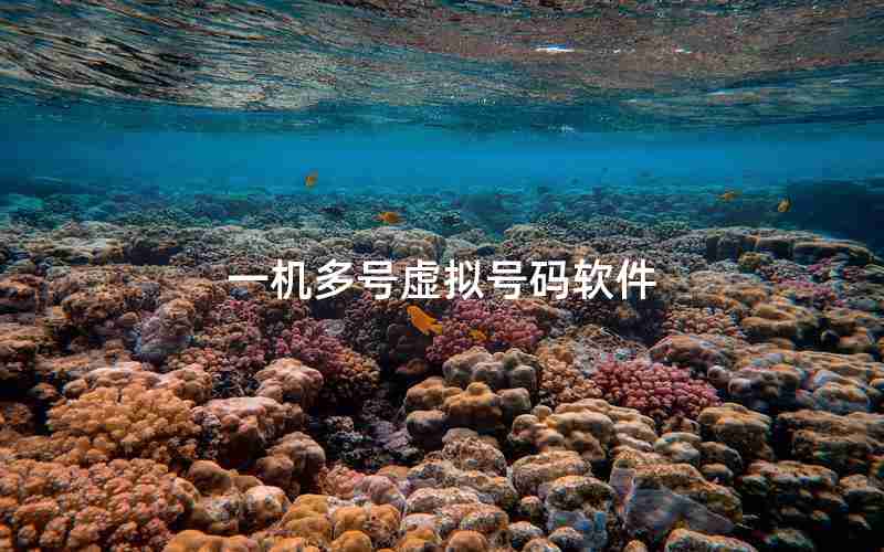 一机多号虚拟号码软件 一机多号虚拟号码软件