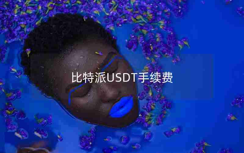 比特派USDT手续费