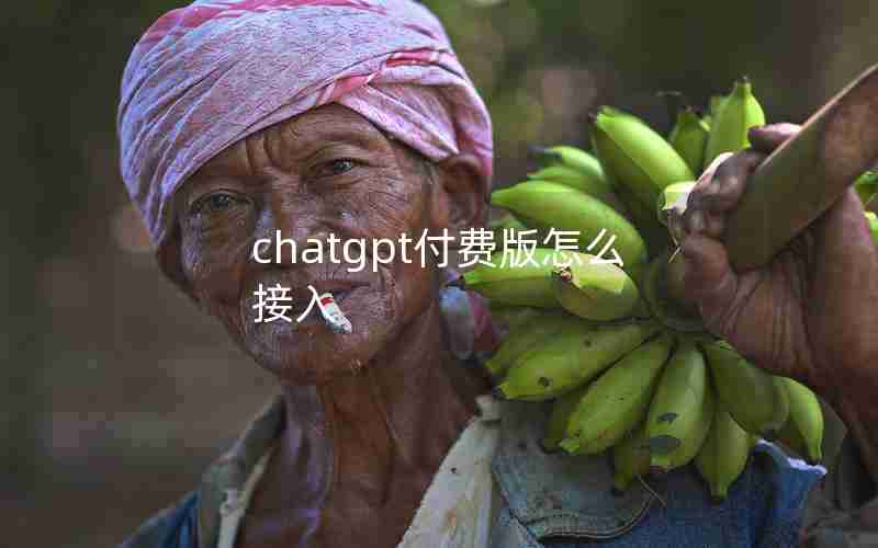 chatgpt付费版怎么接入