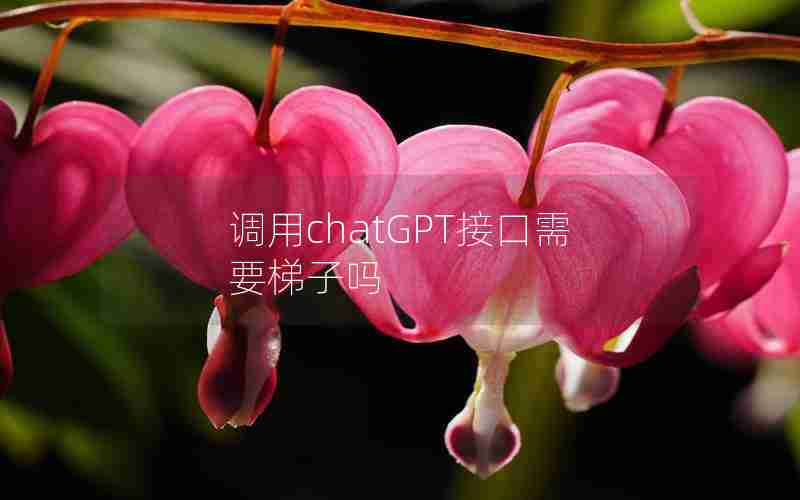 调用chatGPT接口需要梯子吗 调用chatGPT接口需要梯子吗