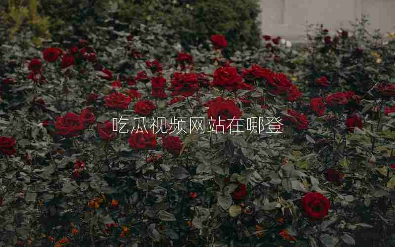 吃瓜视频网站在哪登 吃瓜视频网站在哪登