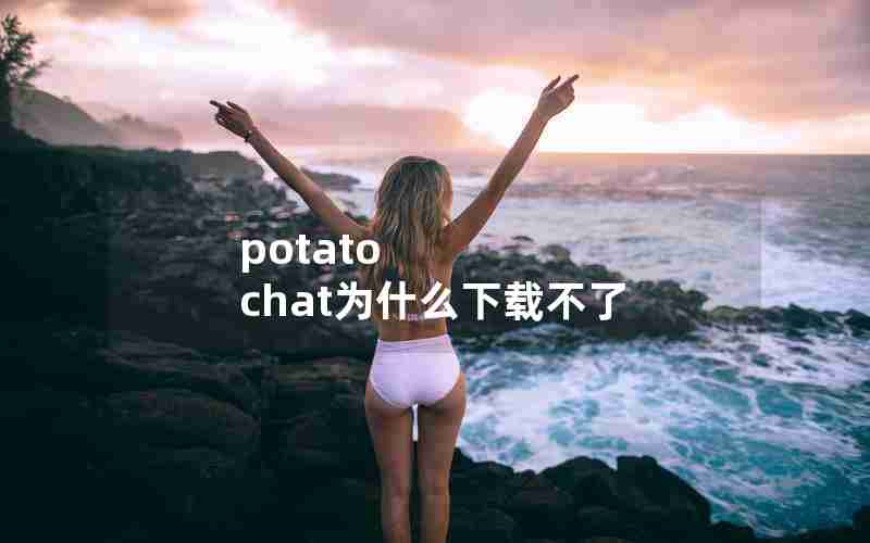 potato chat为什么下载不了
