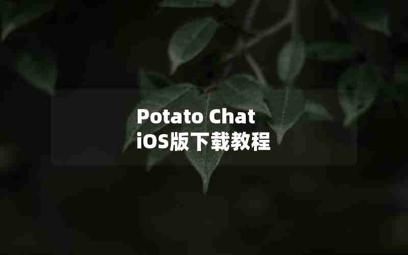 Potato Chat iOS版下载教程