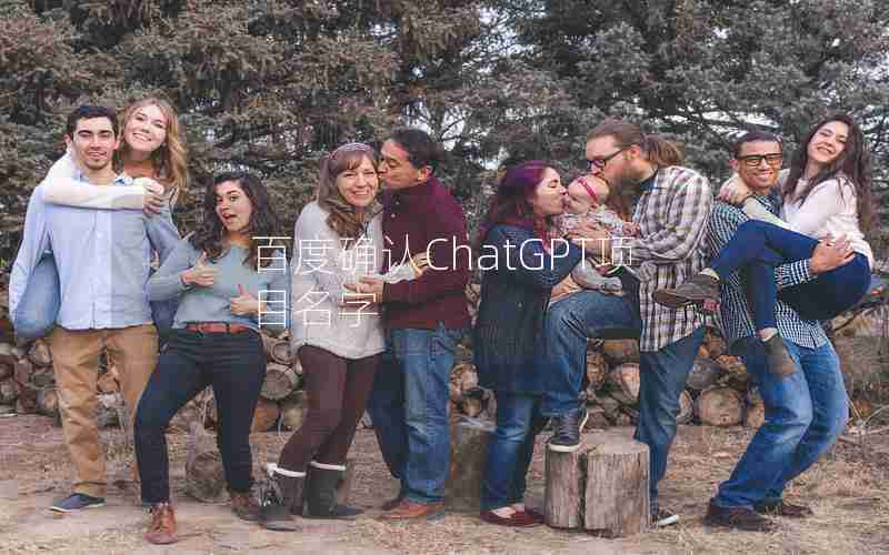 百度确认ChatGPT项目名字