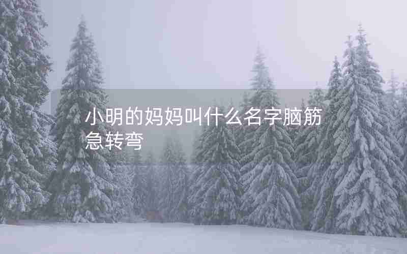 小明的妈妈叫什么名字脑筋急转弯