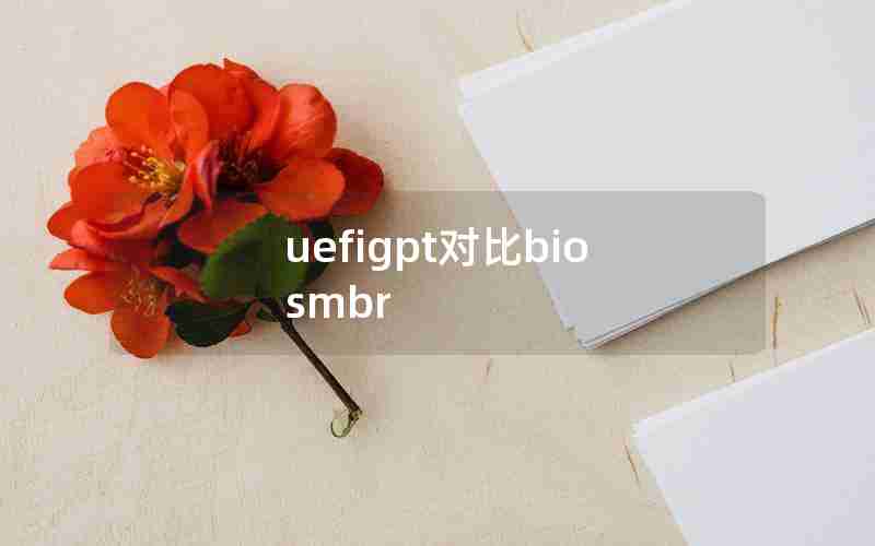 uefigpt对比biosmbr