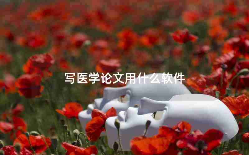 写医学论文用什么软件 写医学论文用什么软件