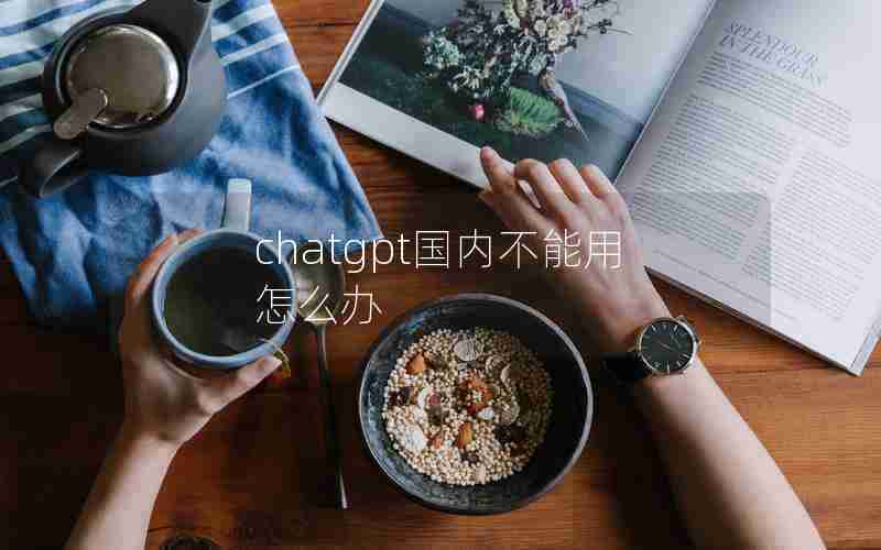 chatgpt国内不能用怎么办