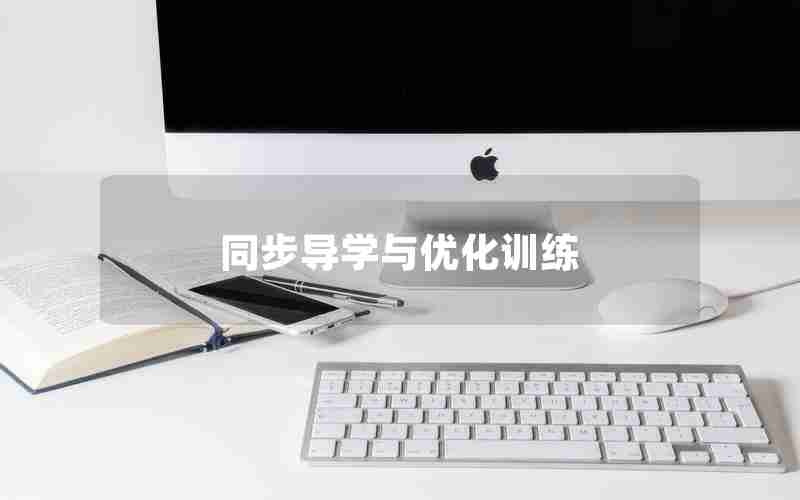 同步导学与优化训练