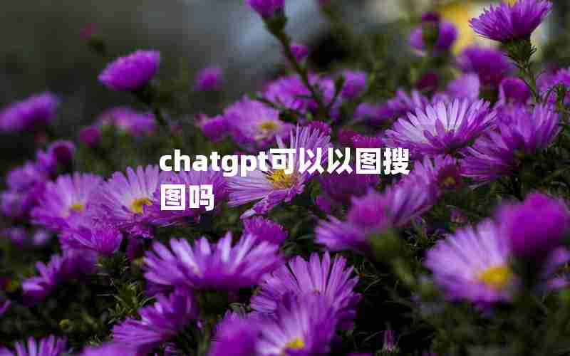 chatgpt可以以图搜图吗 chatgpt可以以图搜图吗