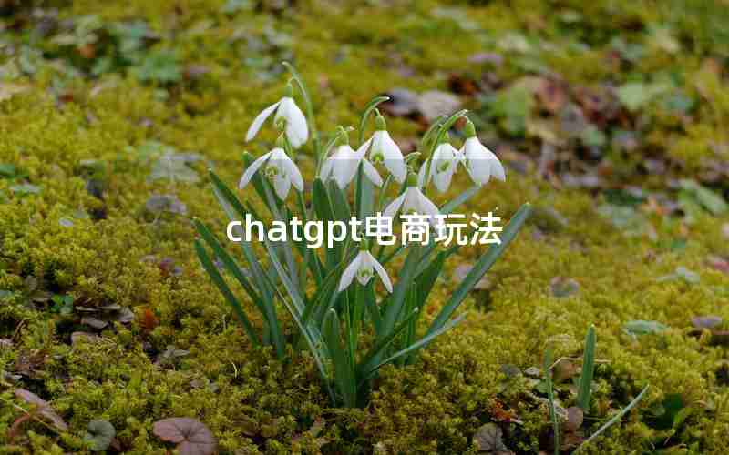 chatgpt电商玩法 chatgpt电商玩法