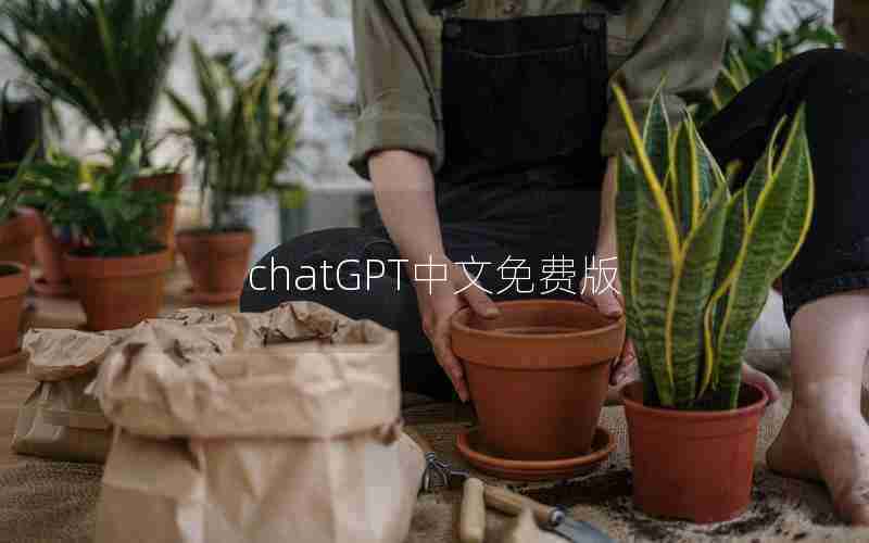 chatGPT中文免费版