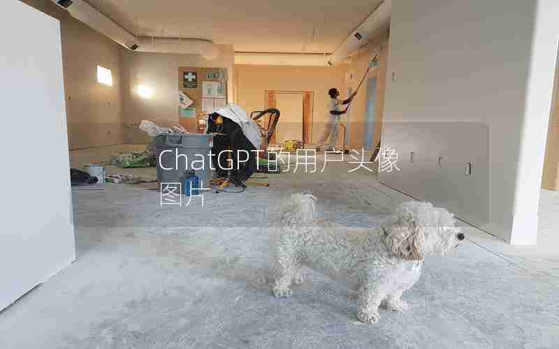 ChatGPT的用户头像图片 ChatGPT的用户头像图片