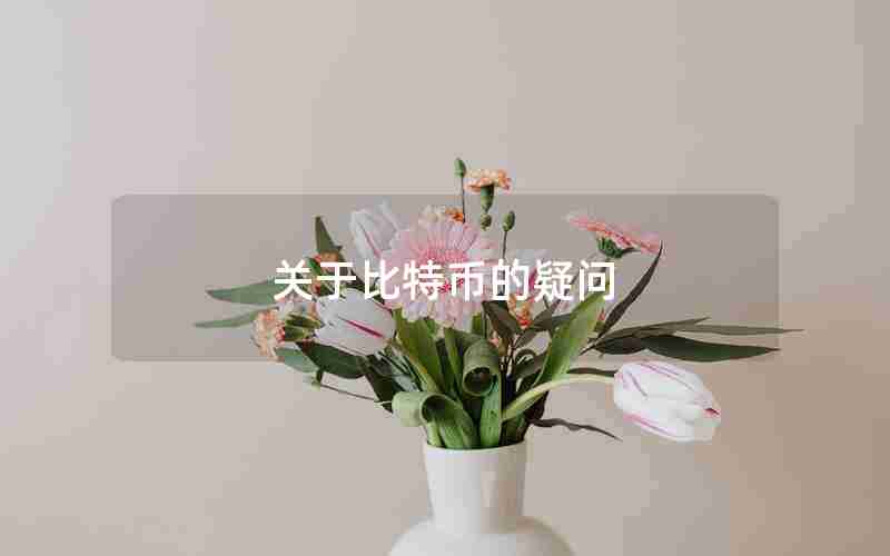 关于比特币的疑问 关于比特币的疑问