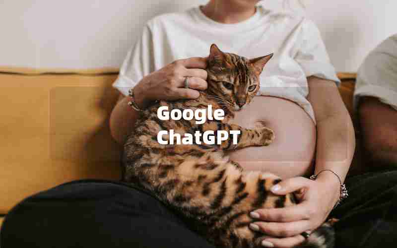 Google ChatGPT