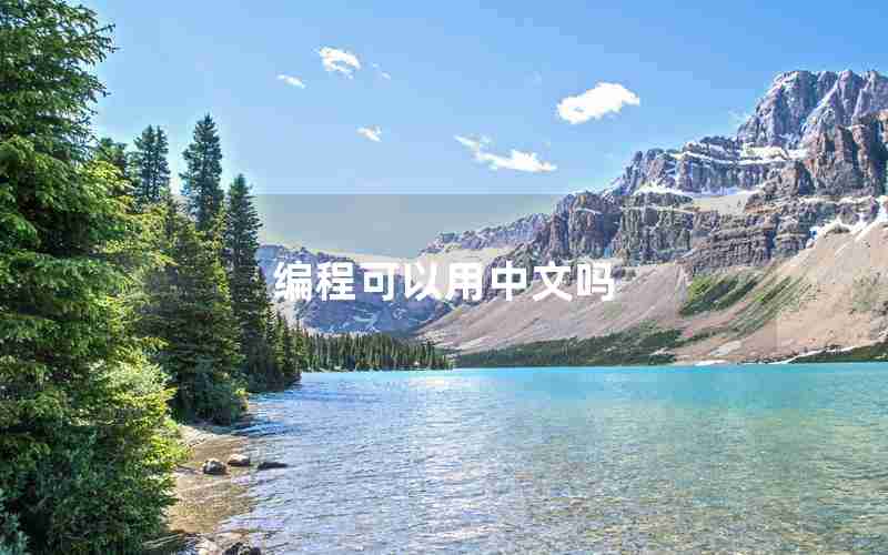 编程可以用中文吗 编程可以用中文吗