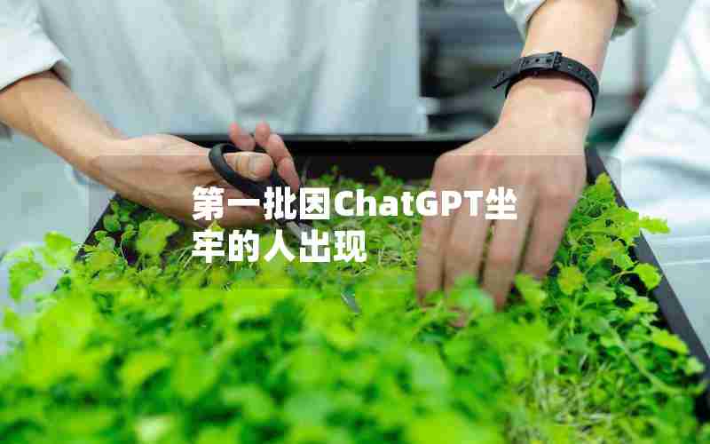 第一批因ChatGPT坐牢的人出现 第一批因ChatGPT坐牢的人出现