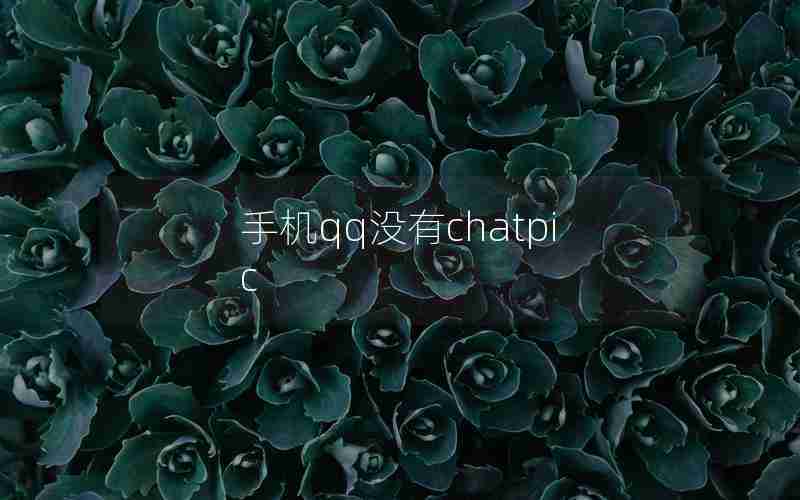 手机qq没有chatpic 手机qq没有chatpic