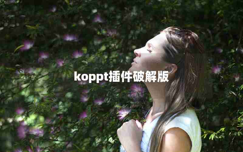 koppt插件破解版