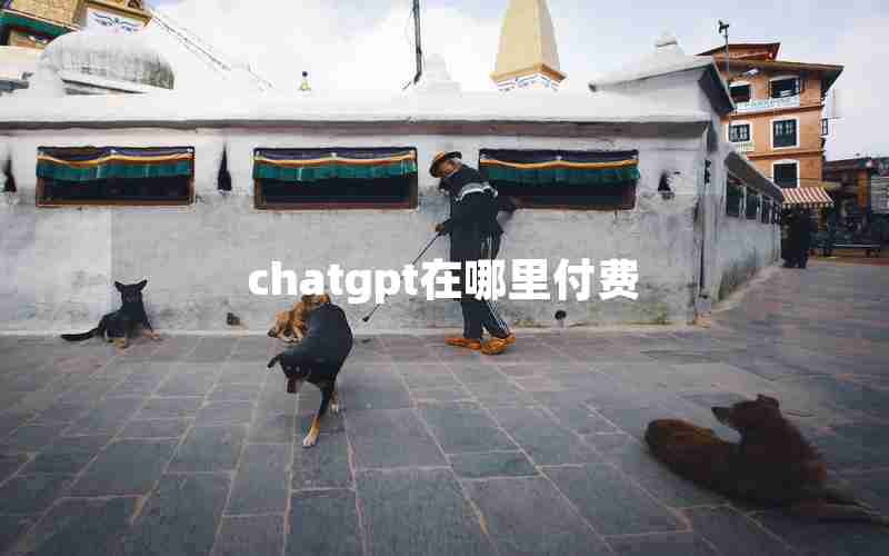 chatgpt在哪里付费