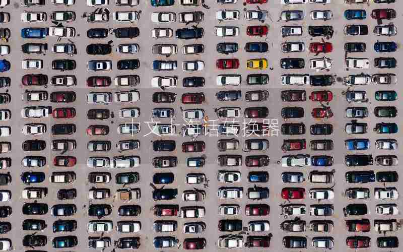 中文上海话转换器