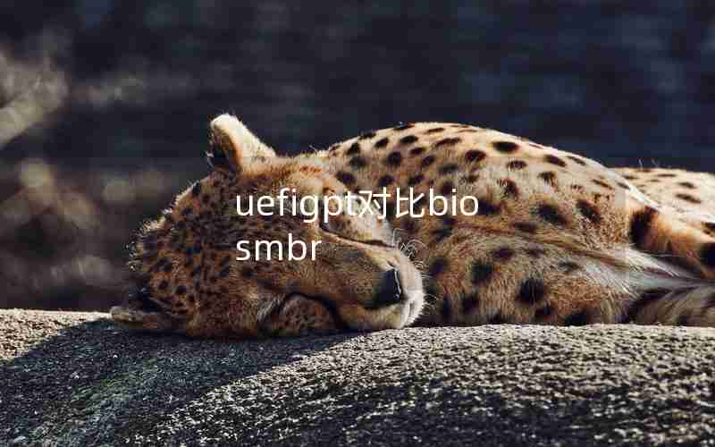 uefigpt对比biosmbr uefigpt对比biosmbr
