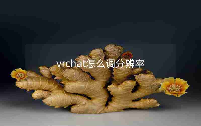 vrchat怎么调分辨率