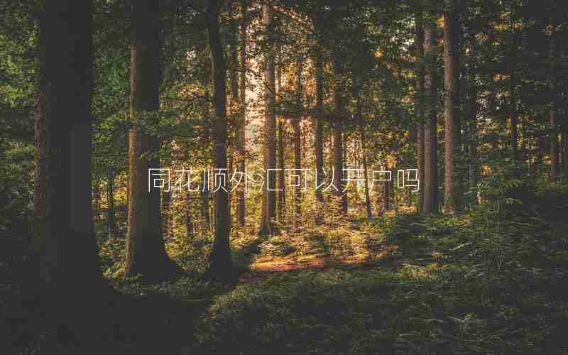 同花顺外汇可以开户吗