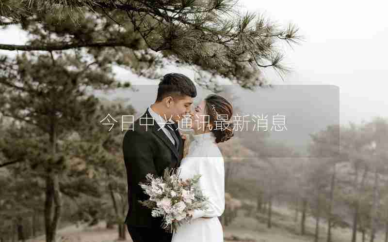 今日中兴通讯最新消息