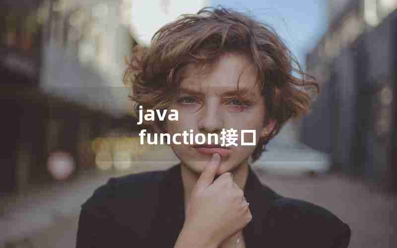 java function接口