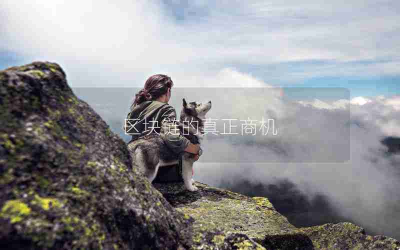 区块链的真正商机