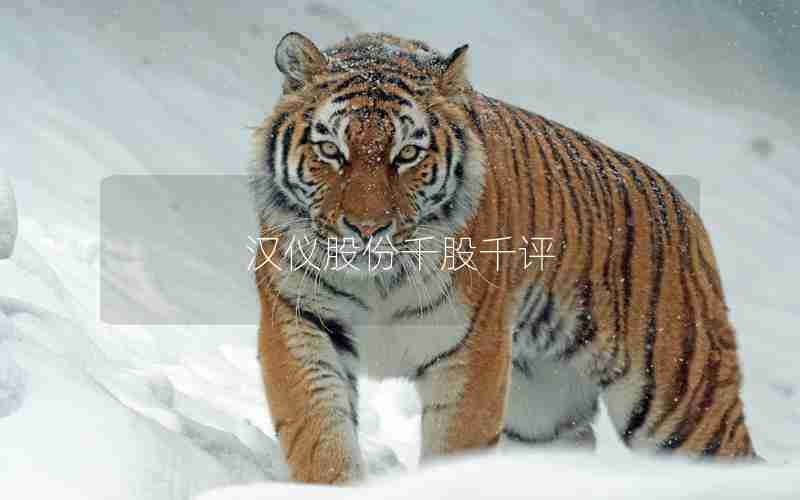 汉仪股份千股千评 汉仪股份千股千评