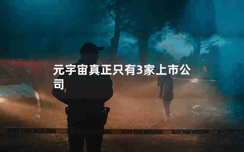 元宇宙真正只有3家上市公司 元宇宙真正只有3家上市公司