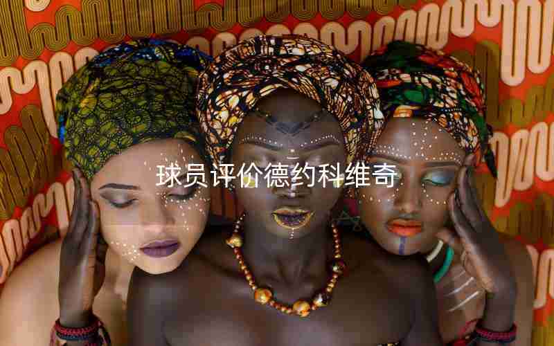 球员评价德约科维奇