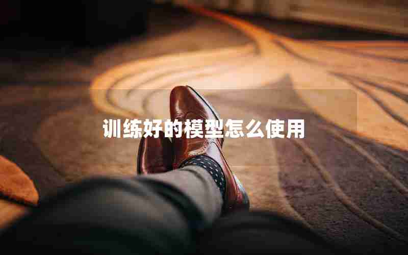 训练好的模型怎么使用