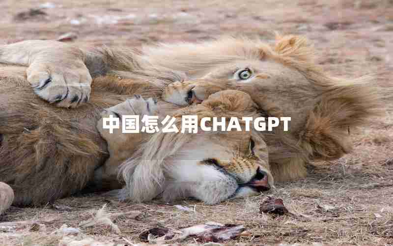 中国怎么用CHATGPT 中国怎么用CHATGPT