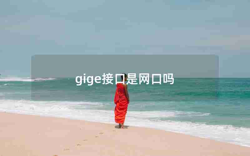 gige接口是网口吗