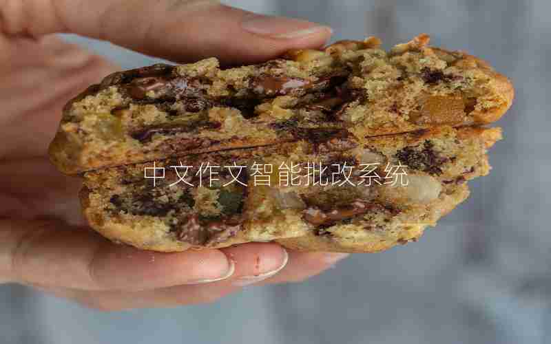中文作文智能批改系统