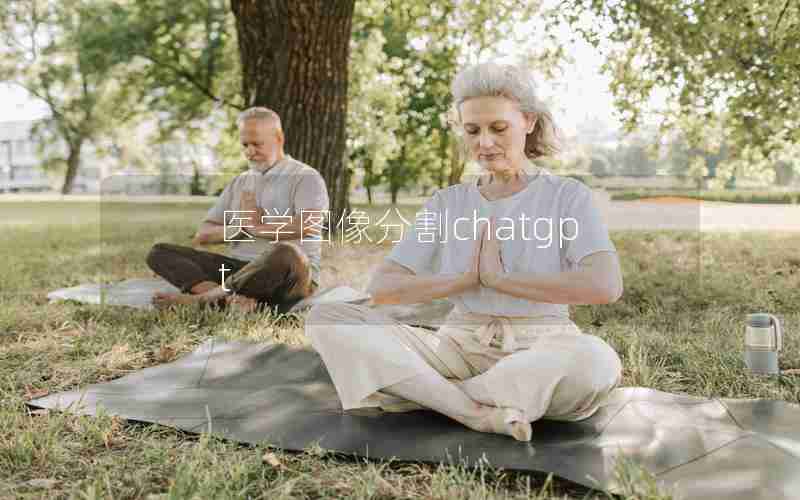 医学图像分割chatgpt