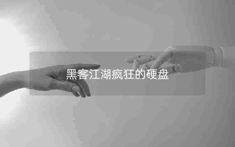 黑客江湖疯狂的硬盘