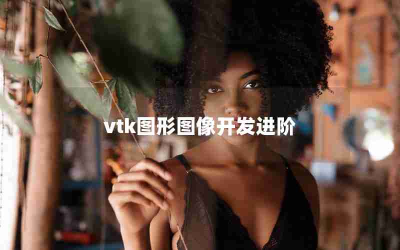 vtk图形图像开发进阶 vtk图形图像开发进阶