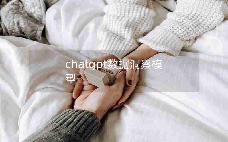 chatgpt数据洞察模型