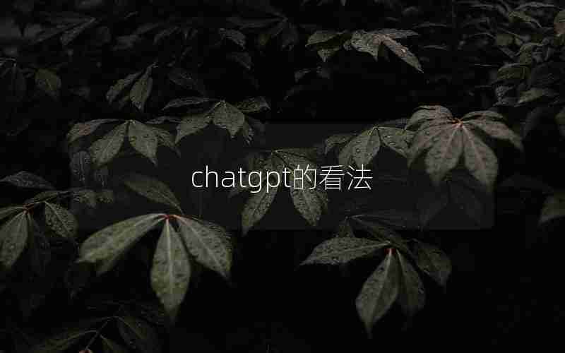 chatgpt的看法